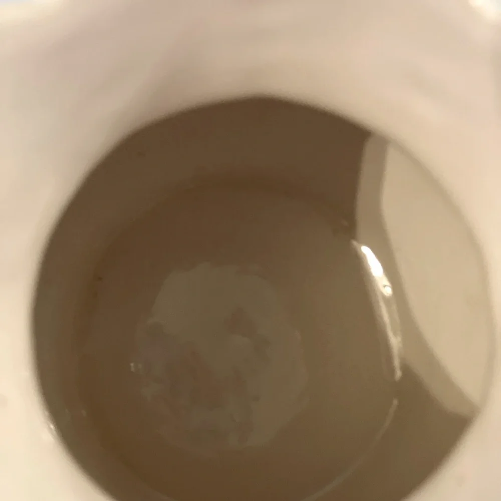 RARE Juliska Jardins du Monde Whitewash Garland Pitcher - Picture 7 of 8